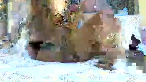 Snapshot of explicitly_certified chatting on 03/03/25, 07:49 explicitly_certified online show from 03/03/25, 07:49