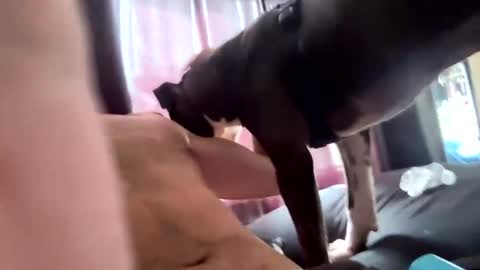 Snapshot of eyesonmichaza chatting on 10/10/25, 04:28 MichazaXO online show from 10/10/25, 04:28