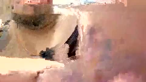 eyyoboobo0 online show from 03/19/26, 06:12