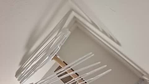 eyyoboobo0 online show from 04/17/26, 11:08