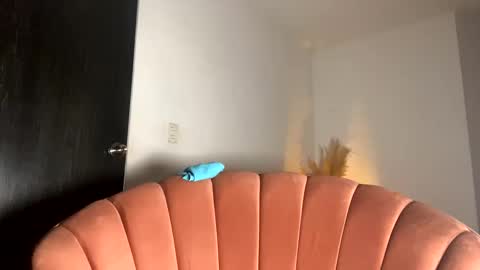 Snapshot of fabianna_laraa chatting on 11/15/25, 12:13 Thianna online show from 11/15/25, 12:13