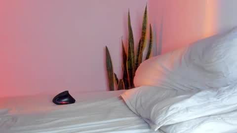 -  A N D E R online show from 11/09/25, 01:59