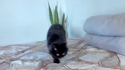 -  A N D E R online show from 01/07/26, 08:00