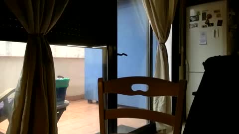 Fabro online show from 02/23/25, 09:22