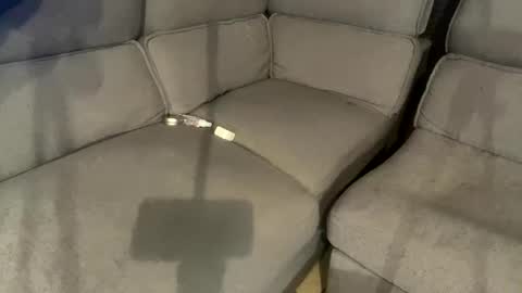 facesd online show from 02/02/25, 05:59