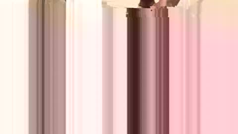 facesd online show from 04/20/26, 04:37