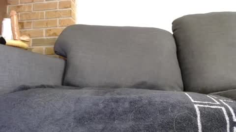 Snapshot of fafnir1278 chatting on 01/20/25, 06:10 fafnir1278 online show from 01/20/25, 06:10