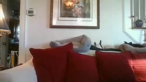 Snapshot of fairmount31 chatting on 01/07/25, 01:46 fairmount31 online show from 01/07/25, 01:46