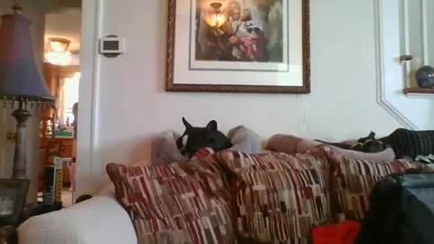 Snapshot of fairmount31 chatting on 02/19/25, 07:16 fairmount31 online show from 02/19/25, 07:16