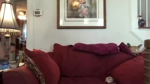 Snapshot of fairmount31 chatting on 10/21/25, 01:56 fairmount31 online show from 10/21/25, 01:56