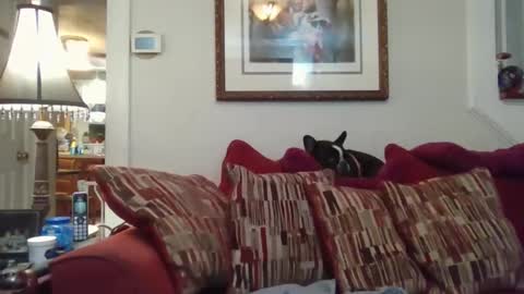 Snapshot of fairmount31 chatting on 11/01/25, 10:12 fairmount31 online show from 11/01/25, 10:12