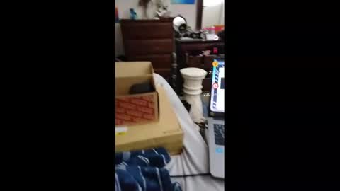 fallen_jezabel online show from 11/16/25, 02:06