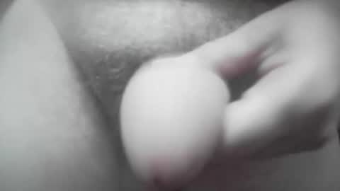 fapipa online show from 03/02/26, 12:23