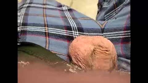 Snapshot of fartinmymouthplz chatting on 11/18/25, 03:45 fartinmymouthplz online show from 11/18/25, 03:45