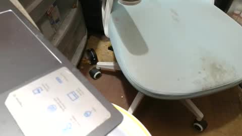 Fred. online show from 11/07/25, 08:53