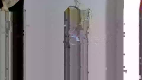 favouriteveronika online show from 04/14/26, 03:45