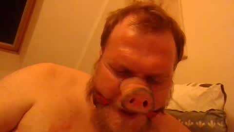 Horny Fat Boy online show from 06/20/26, 01:30