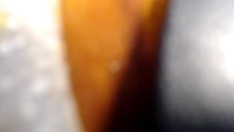fckyariangel online show from 01/10/26, 02:46