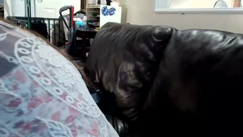 feastonme00 online show from 07/04/26, 02:12