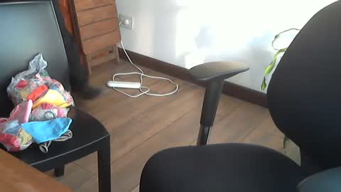 Snapshot of fedeglobos chatting on 09/17/25, 09:05 fedeGLOBOS online show from 09/17/25, 09:05