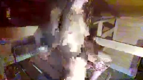 feet__sucker online show from 09/22/25, 08:22