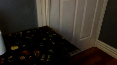 HairyBrownGuy online show from 02/08/26, 01:03