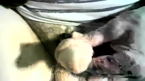 felicaste online show from 03/08/25, 12:22