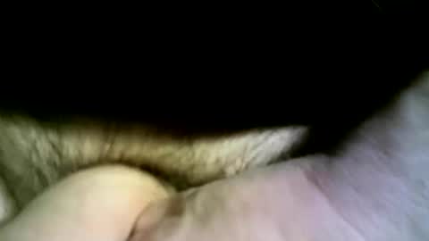 felicaste online show from 04/13/26, 04:34