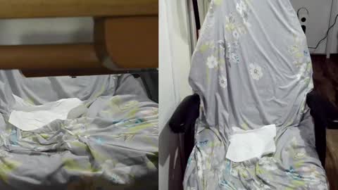 Snapshot of felixlau chatting on 01/22/25, 12:06 felixlau online show from 01/22/25, 12:06