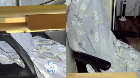 Snapshot of felixlau chatting on 02/06/25, 01:10 felixlau online show from 02/06/25, 01:10