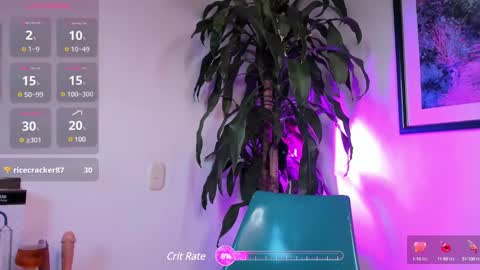 FelixSantos online show from 02/19/25, 10:42