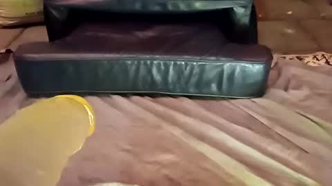 femboy710cum online show from 12/21/24, 11:24