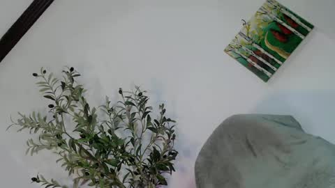 Snapshot of femboy_veronica chatting on 05/03/26, 06:19 femboy_veronica online show from 05/03/26, 06:19