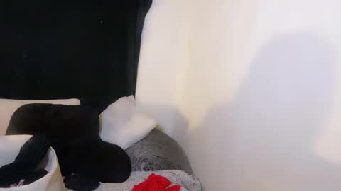 this is justice tricia a bigelow. she was fucking my husband tom girardi online show from 11/02/25, 09:00