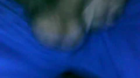 fer_2197 online show from 01/23/25, 01:24