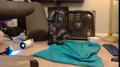 Snapshot of feralasf chatting on 10/06/25, 06:00 FE fee online show from 10/06/25, 06:00