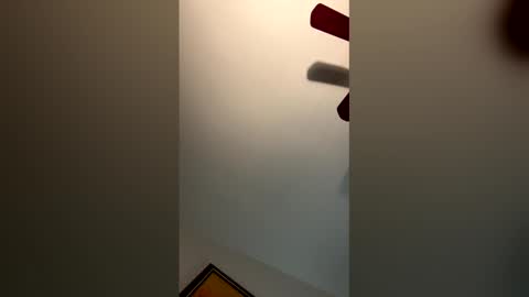 fettybetty777 online show from 03/03/26, 03:56