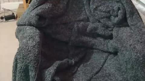 Snapshot of ffys2025 chatting on 02/13/26, 09:22 ffys2025 online show from 02/13/26, 09:22