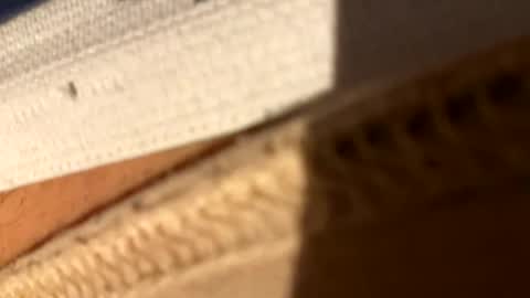 Fiksok online show from 04/14/26, 01:00