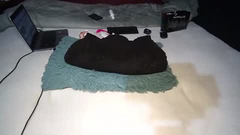 Snapshot of finito_nyl chatting on 11/10/25, 08:46 Rania online show from 11/10/25, 08:46