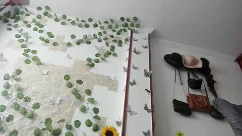     online show from 09/15/25, 02:50