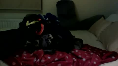 Snapshot of fitbut chatting on 01/30/25, 07:48 Fitbut online show from 01/30/25, 07:48