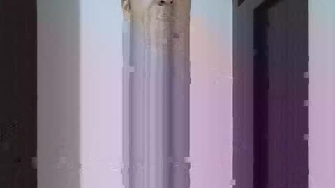 fitchestabs_69 online show from 04/14/26, 09:43