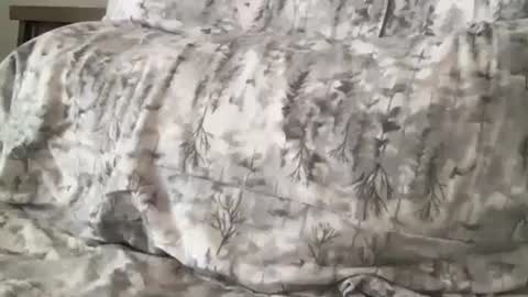 Snapshot of fitcollegestudxx chatting on 02/17/25, 07:21 FitCollegeStudxx online show from 02/17/25, 07:21