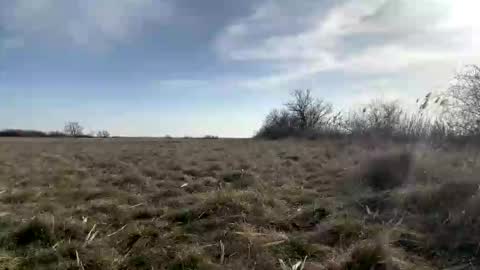 fitgentleman999 online show from 03/08/26, 02:21