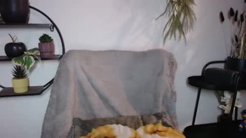 fitness1989 online show from 07/20/26, 08:55