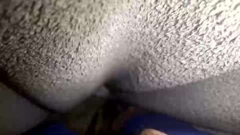 Snapshot of flaash_99 chatting on 03/02/26, 11:28 flaash_99 online show from 03/02/26, 11:28