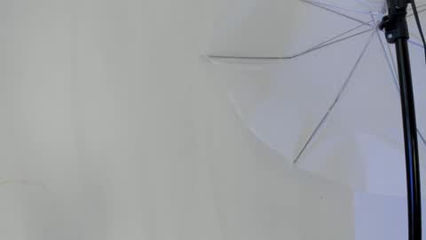 Flavia online show from 01/11/26, 06:46