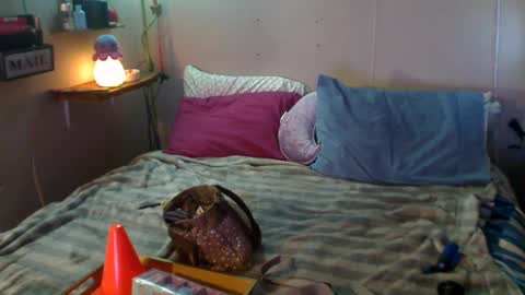 Eisha online show from 12/22/24, 09:09