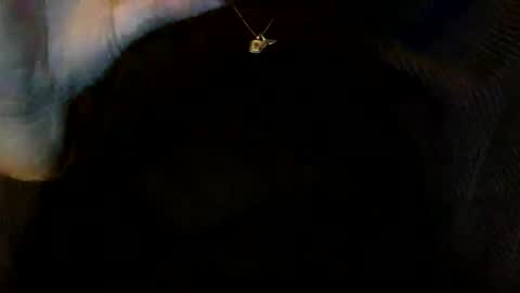 floraexploration online show from 12/23/24, 06:27